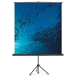 magnetoplan projectiescherm Cineflex, 2000 x 2000 mm, driepoot statief, zwart