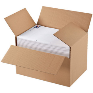 ColomPac bliksembodemkarton voor A4 formaten, bruin