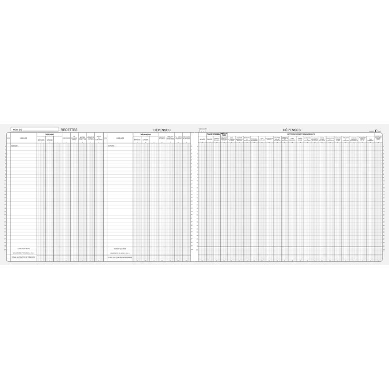 Kasboekje Inkomsten/Uitgaven Vrije Beroepen