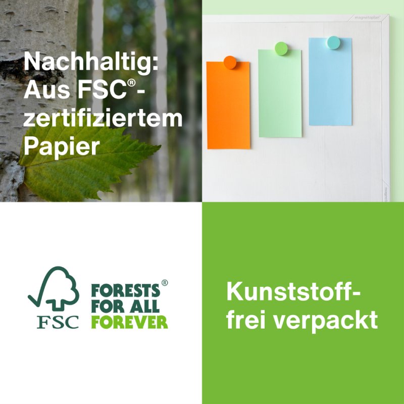 Magnetoplan moderatiekaarten rechthoekig, 200 x 100 mm