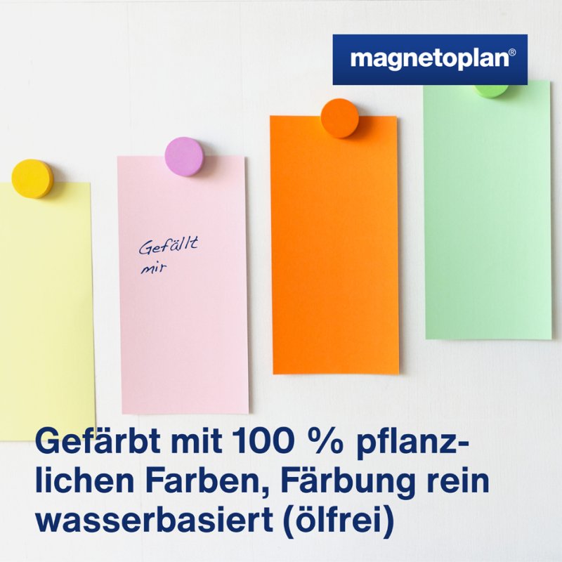 Magnetoplan moderatiekaarten rechthoekig, 200 x 100 mm