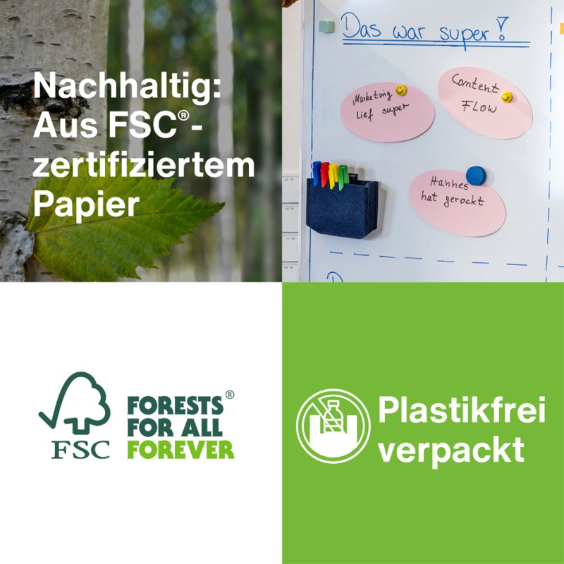 Magnetoplan moderatiekaarten ovaal, 190 x 110 mm