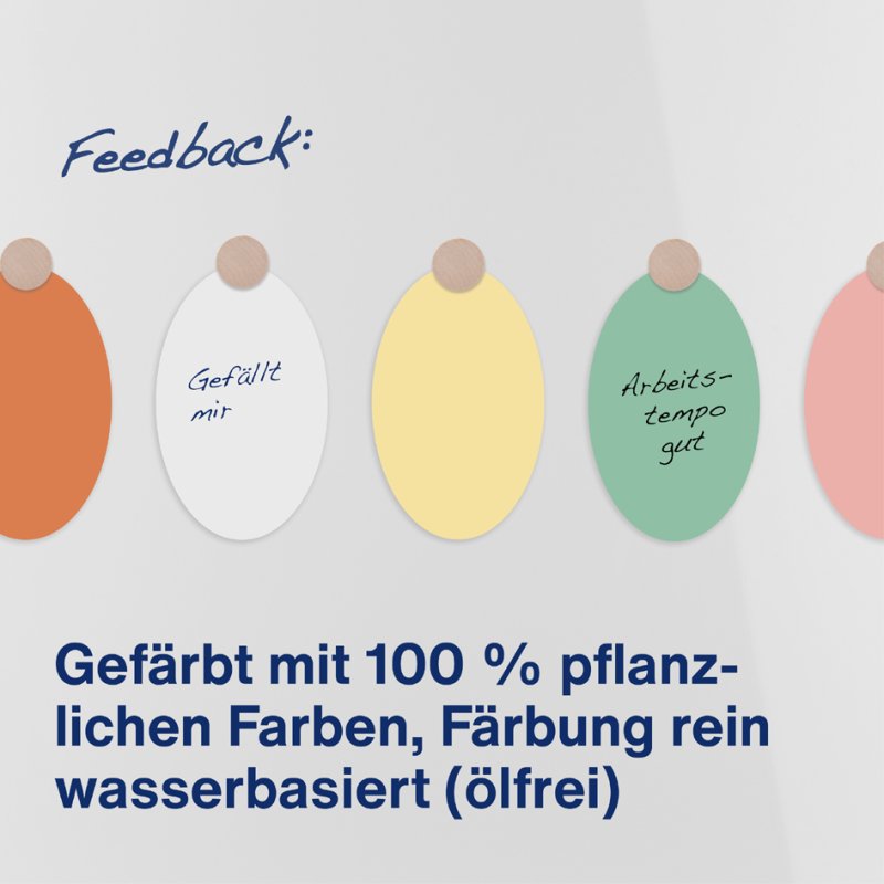 Magnetoplan moderatiekaarten ovaal, 190 x 110 mm