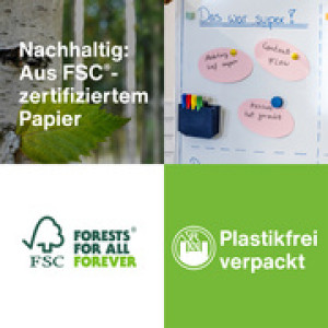 Magnetoplan moderatiekaarten ovaal, 190 x 110 mm