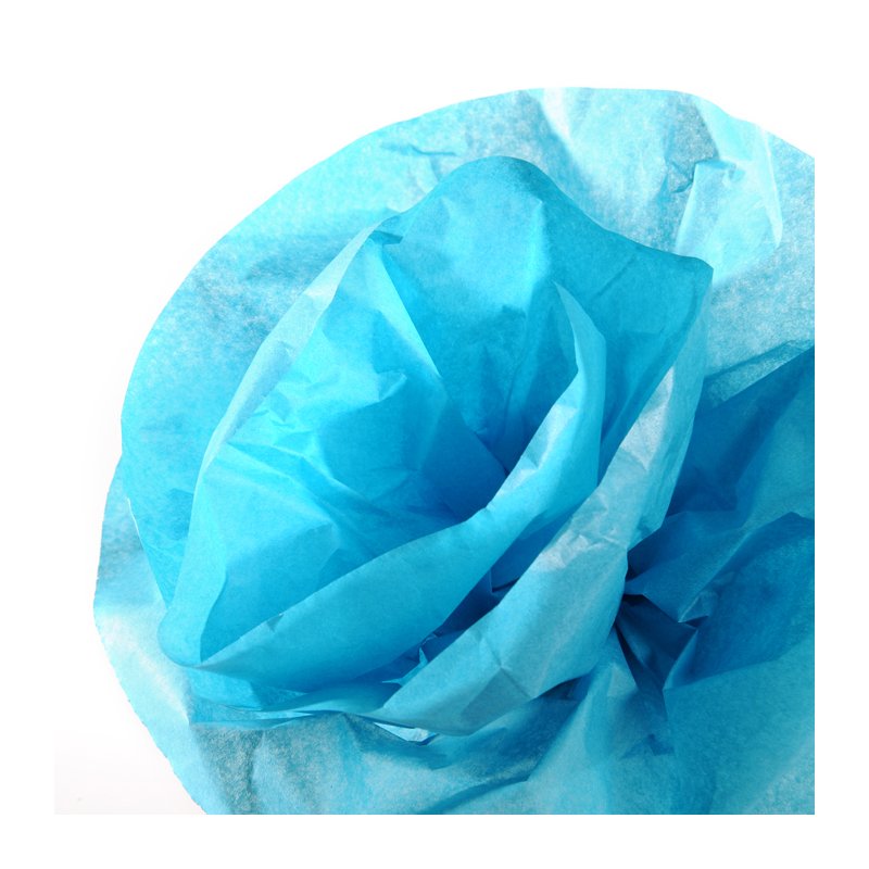 CANSON vloeipapier op rol, 0,5 x 5,0 m, 20 g/m², oranje
