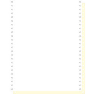 EXACOMPTA Computerpapier endloos 240mm x 12 inch, 2-voudig zelfkopiërend