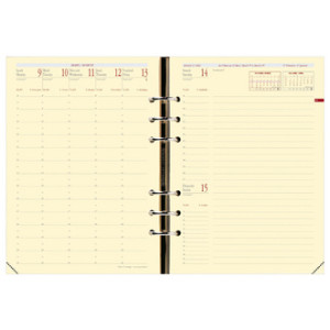 Quo Vad.Timer21 rech