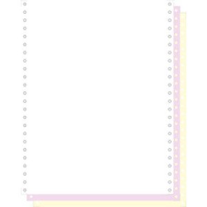 EXACOMPTA Kettingformulieren 240 mm x 12 inch (30,48 cm)