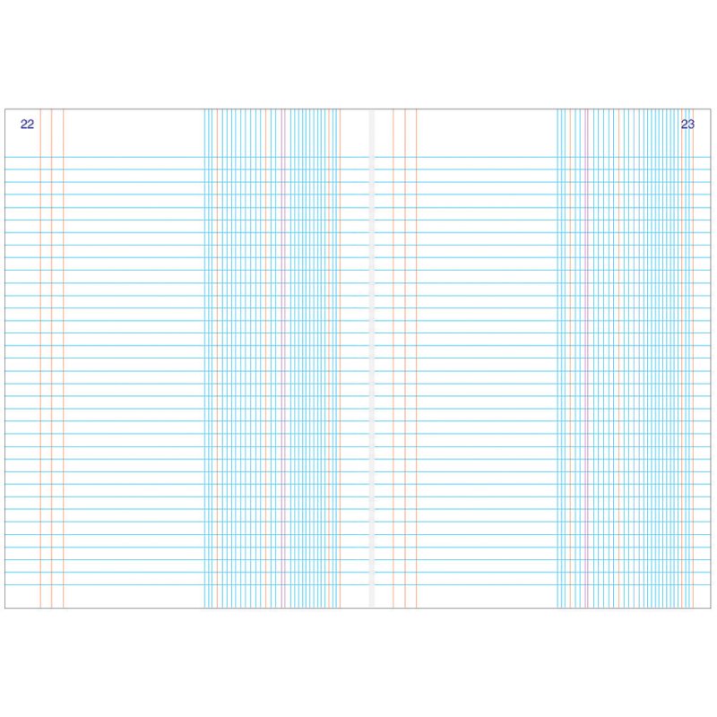 Rekenboek-/dagjournaal, 297 x 210 mm, 100 pagina's