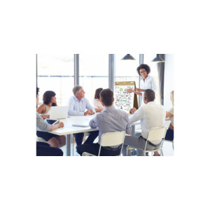 Bi-Office tafel flipchart Earth, 20 vellen, 50 x 58,5 cm