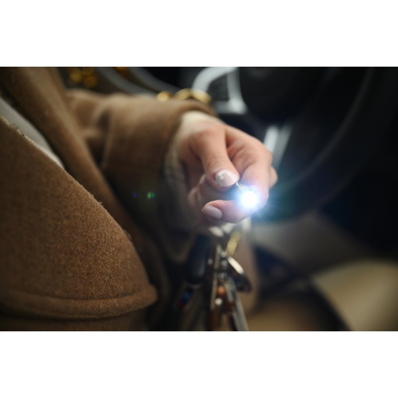 ANSMANN Laserpointer 2-in-1 zwart