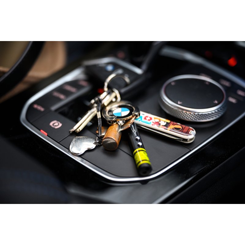 ANSMANN Laserpointer 2-in-1 zwart