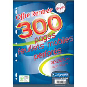 Losbladige schriften met perforatielijn, A4-formaat.