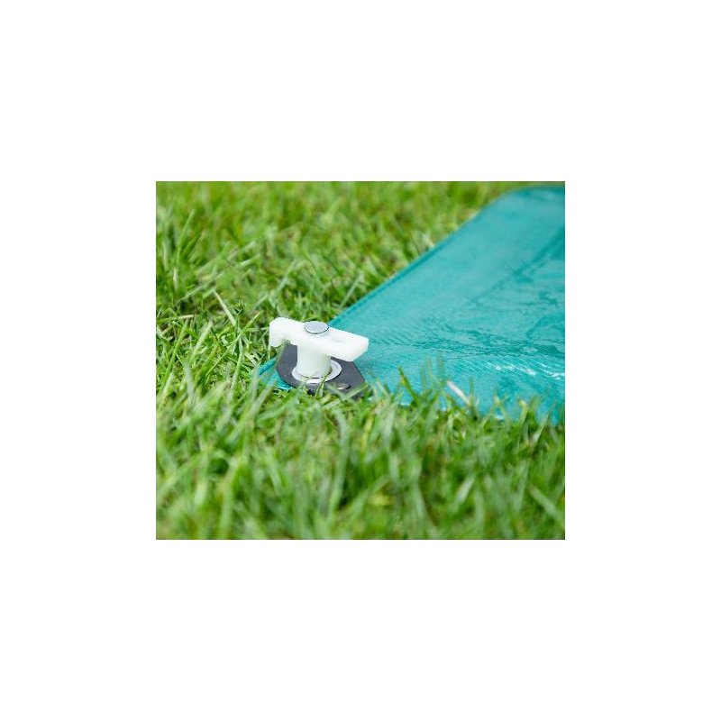 Tentharingen, lengte 24 cm, fluorescerend