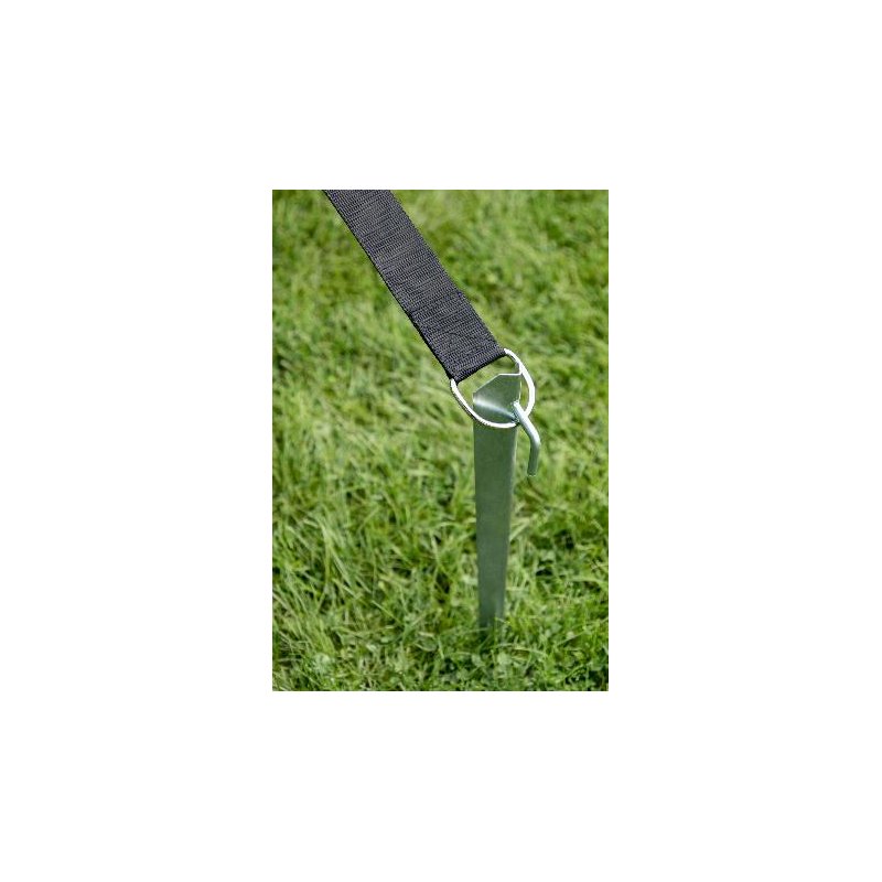 Cartrend storm afspanset voor caravan markiezen, 5-delig