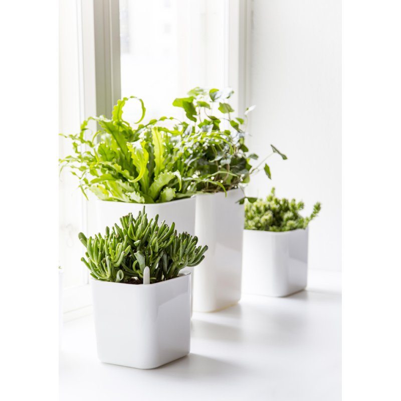 orthex bloempot EDEN, 200x200x210 mm, zelfbewateringssysteem, wit