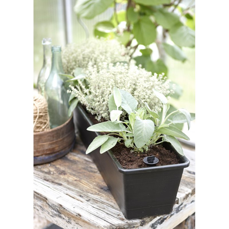 orthex bloembak BALCONY, 550 x 180 x 170 mm, wit, zelfwateringssysteem