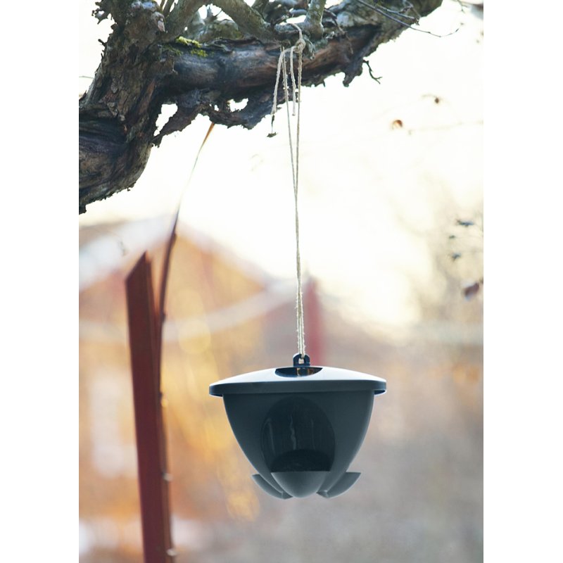 Orthex vogelvoederhuisje BIRDIE groen/antraciet