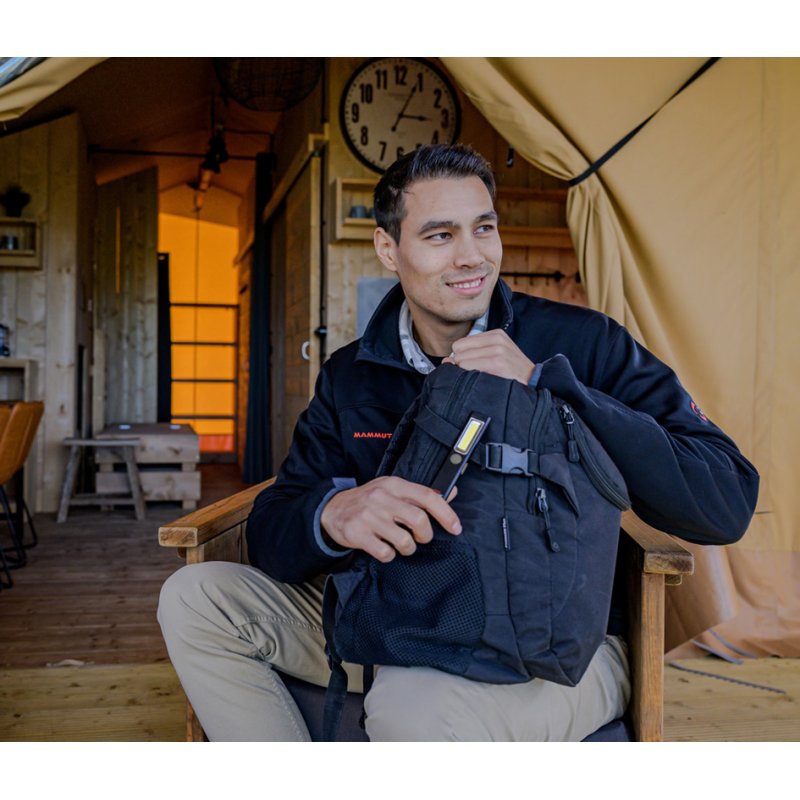 Brennenstuhl LED oplaadbare zaklamp PL 200 AC, zwart/grijs