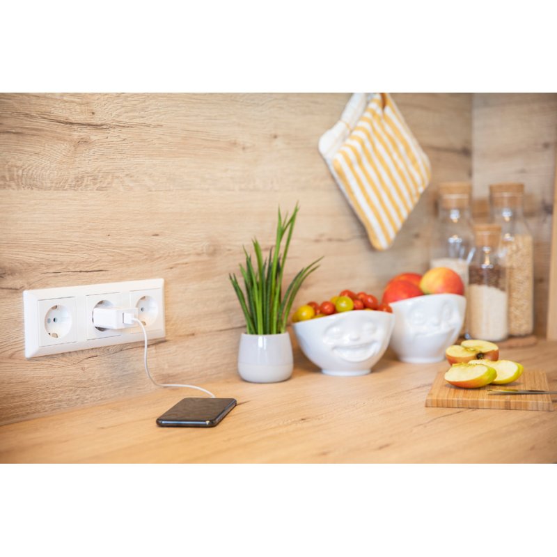 ANSMANN - USB-thuislader voor stopcontact - 2 USB-poorten - HC218PD