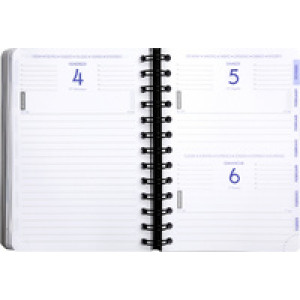 EXACOMPTA Schoolagenda Forum Linicolor 2025/2026, diverse kleuren