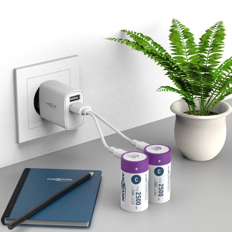 ANSMANN Li-Ion oplaadbare C batterijen met USB-C aansluiting, 2 stuks