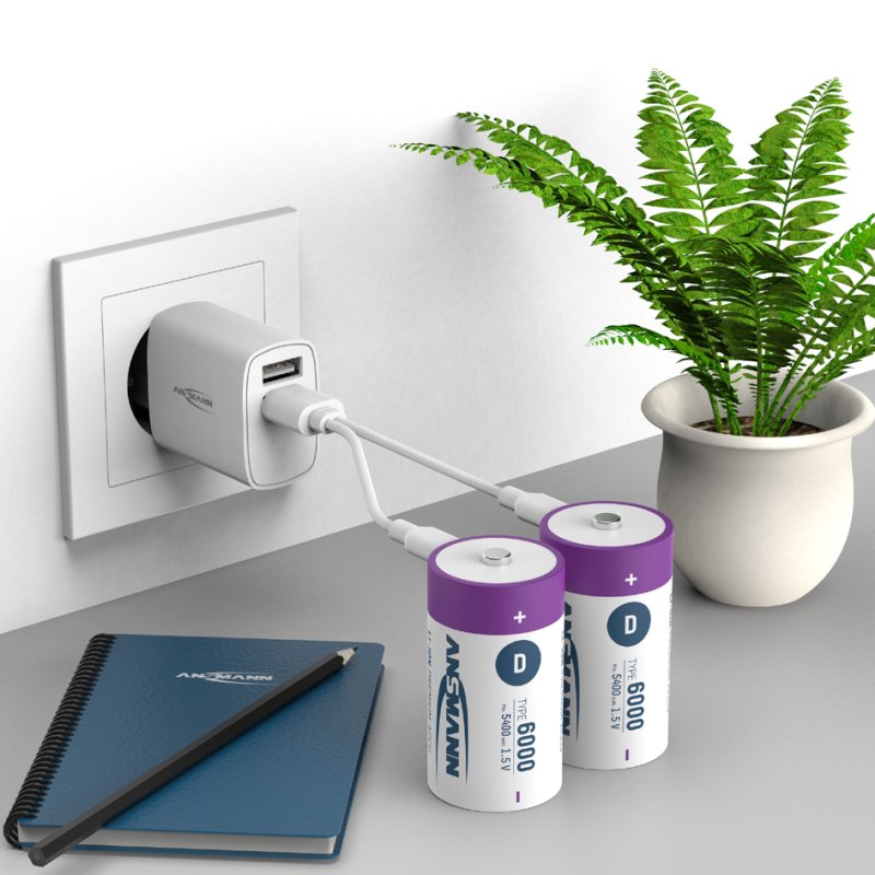 ANSMANN Li-Ion Oplaadbare D Batterijen met USB-C, 2 stuks