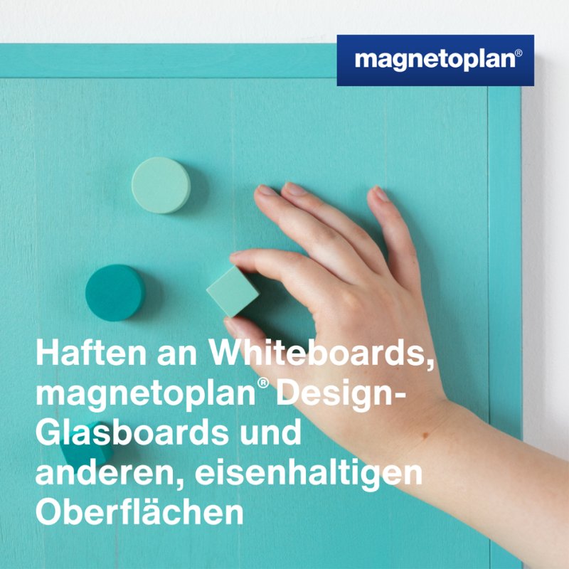 Magnetoplan neodymium magneten Wood Series kubus, gekleurd