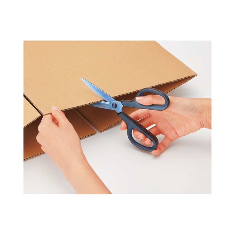 Plus Japan universele schaar FITCUT CURVE titanium coating, blauw