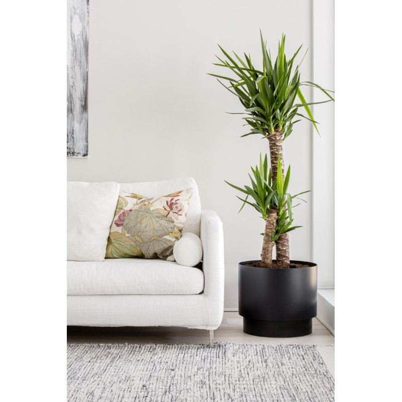 orthex bloempot PAULINA, diameter 250 mm, wit, zelfwateringssysteem