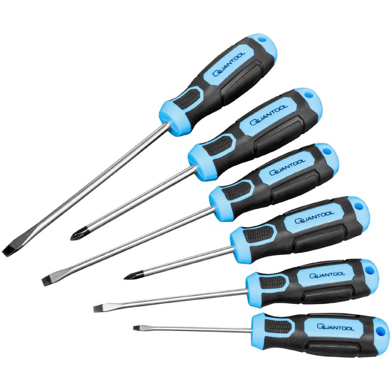 QUANTOOL schroevendraaier set 6-delig, zwart/blauw
