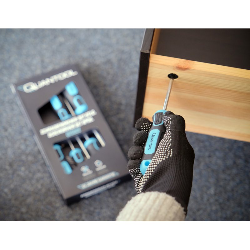 QUANTOOL schroevendraaier set 6-delig, zwart/blauw