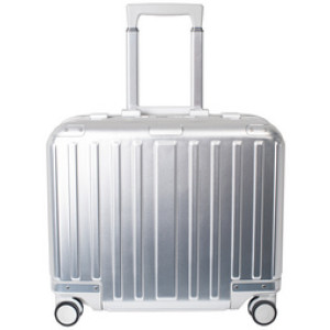 pavo Aluminium-Pilot