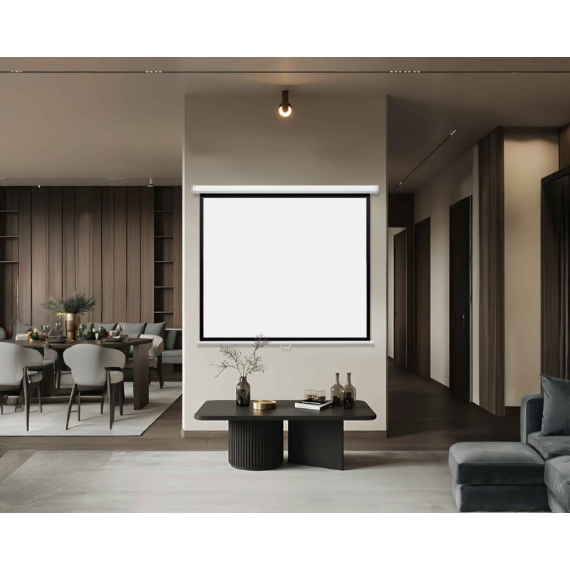 magnetoplan manuelle