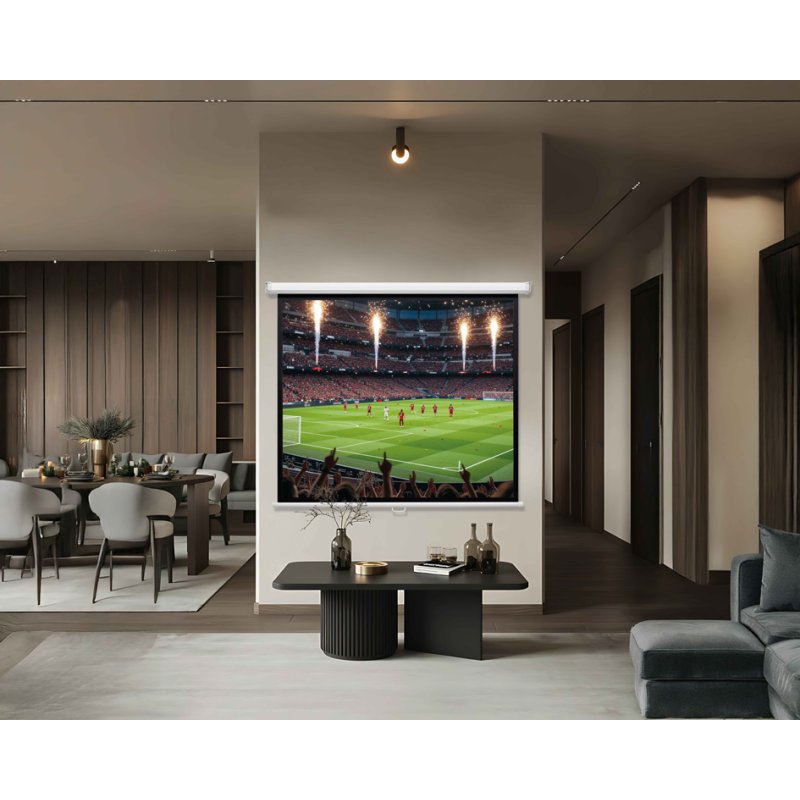 magnetoplan manuelle