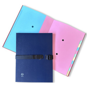 extendos Arianex sorteermap SANGLEX, blauw, 12 vakken, uitrekbare rug