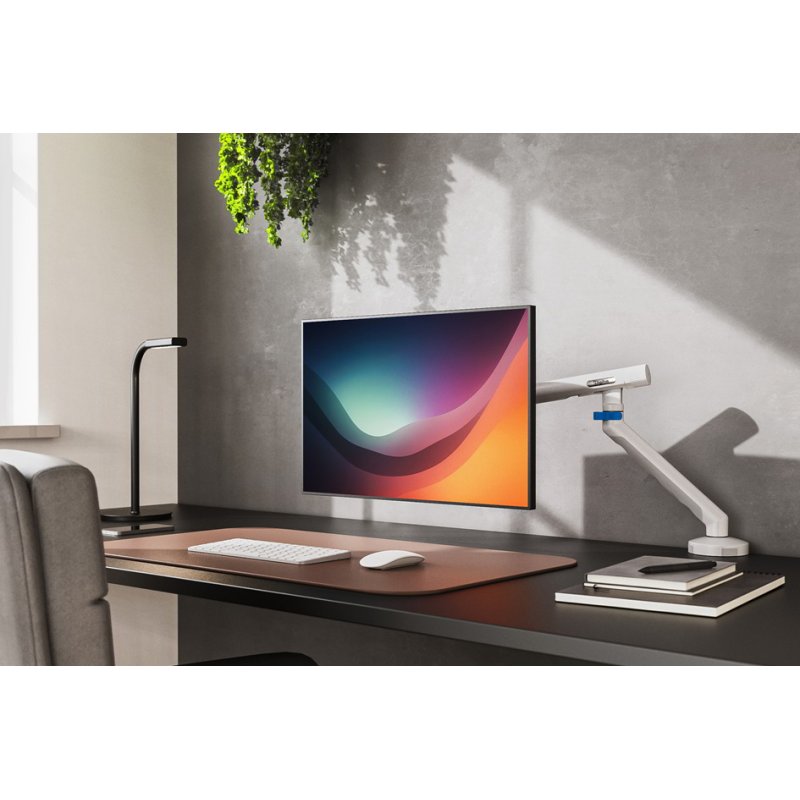DIGITUS Single Desig